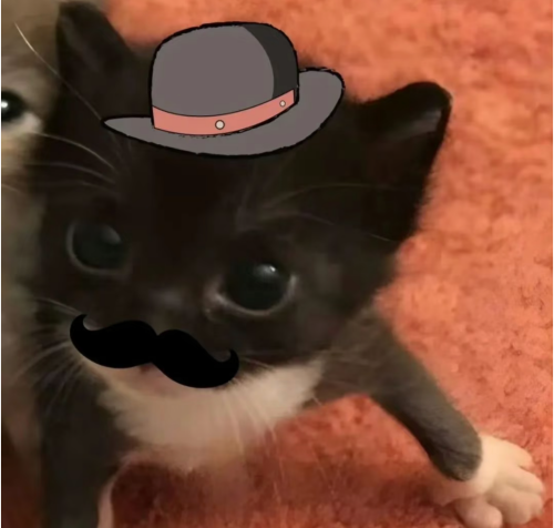 Screenshot 2026 0213 190553