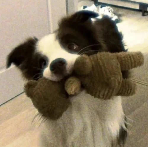 Screenshot 2026 0213 190706