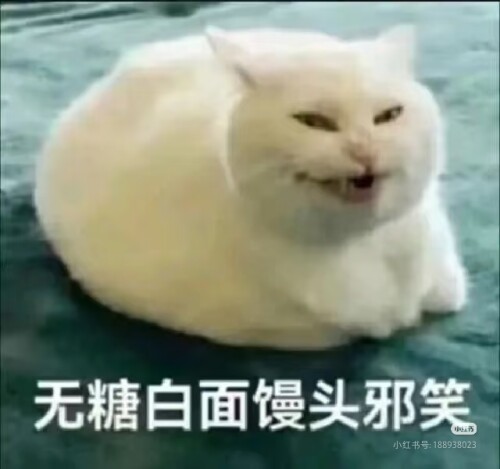 Camera XHS 17722796655021040g008313029sdo6a004a7asueh4r5kic7mn20