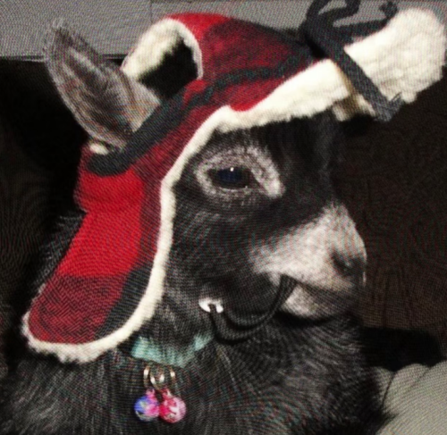 Screenshot 2026 0305 191844