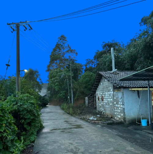 mmexport1772422553353