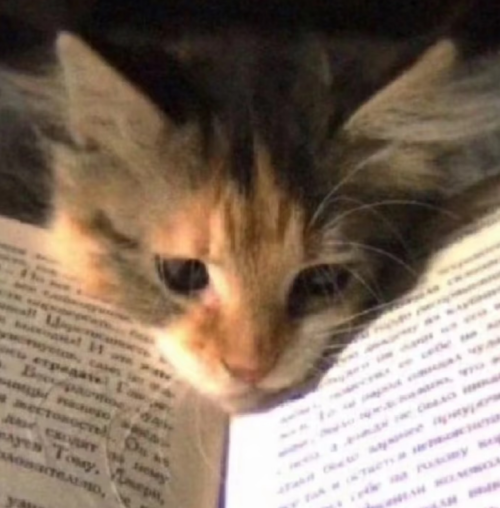 Screenshot 2026 0305 191958