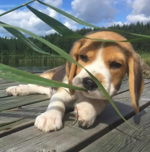 Screenshot 2026 0305 182635