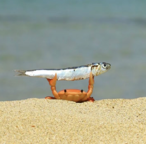 Screenshot 2026 0305 182758