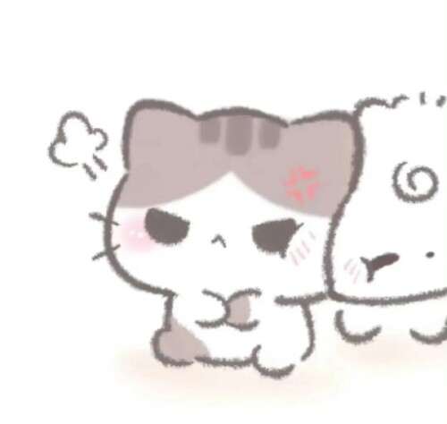 mmexport1764084005148