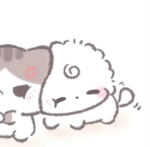 mmexport1764084006932