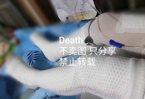 a00e7066d0160924693b0823920735fae7cd34db (1)