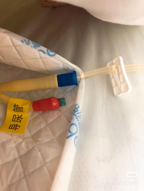 2025 08 16 18 48 46 433