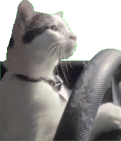 iflytek 1773216452987