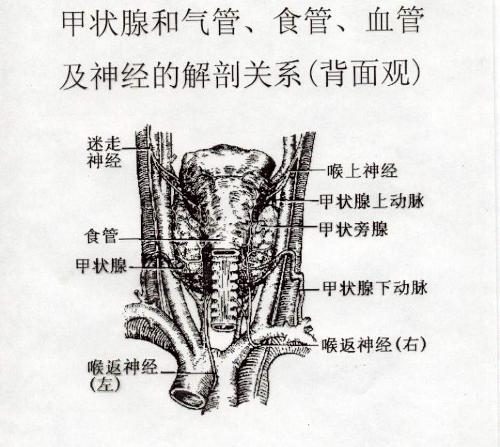 R-C.d52657b360c293071d7d6f0365623314-7347967dac29cb9e6c30010483a6b25d