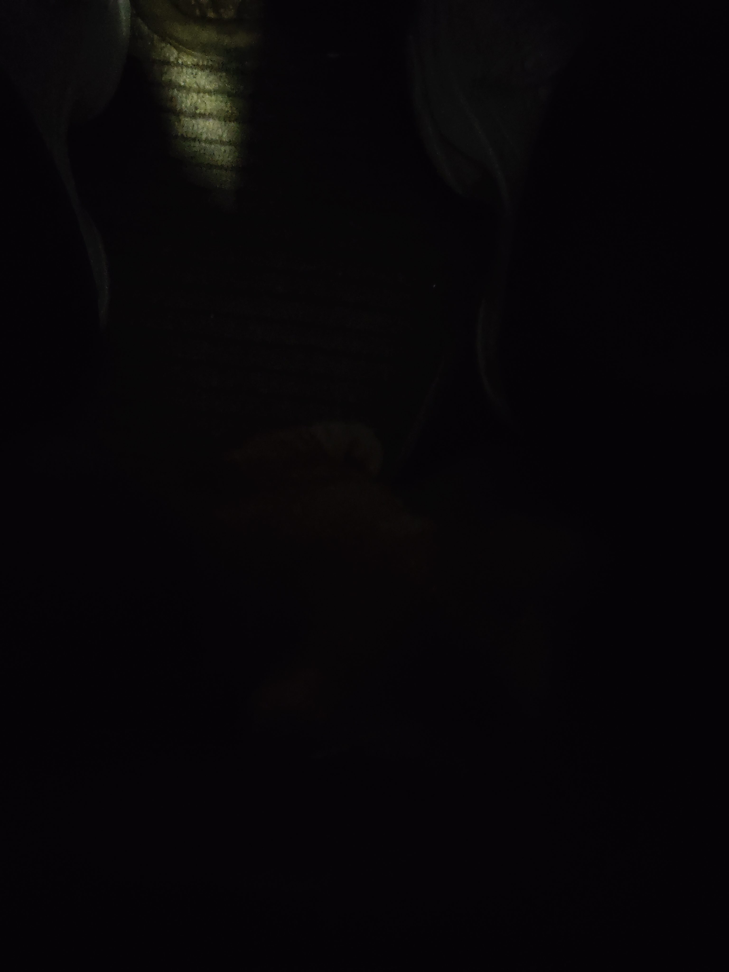 1000013162