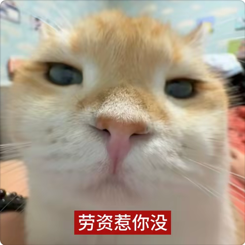 1791503306377