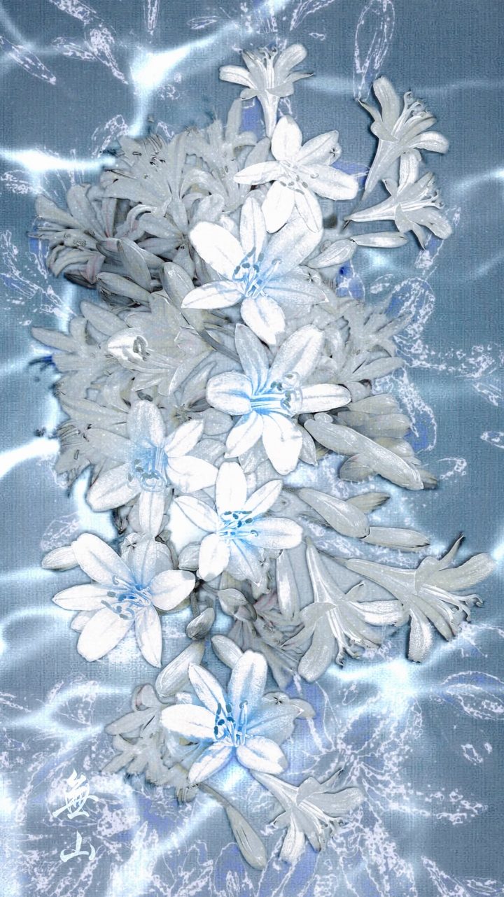 1790568379855