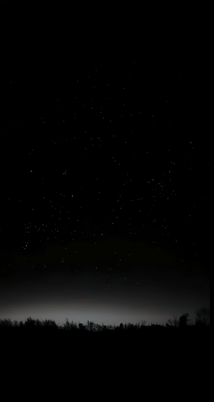 1000010596