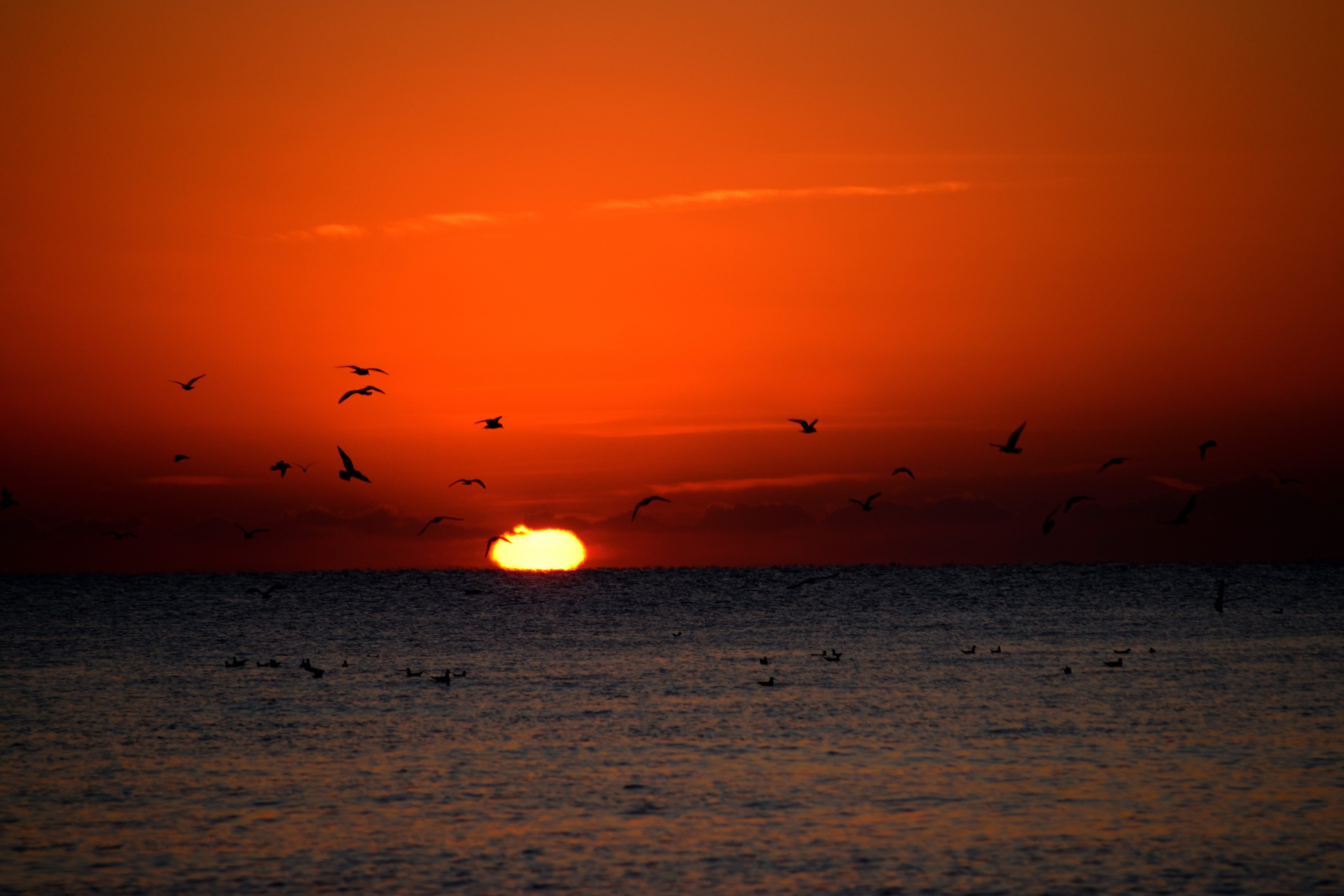 DSC_0325-3ce919d5577b789f0b5f94ee3a23aae4