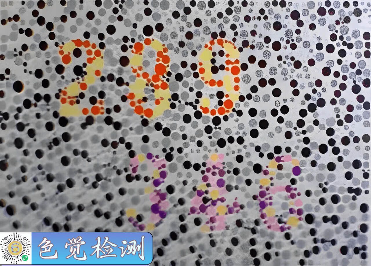 image_14-4069cc6b606382f0d9c73a2c61b0155c