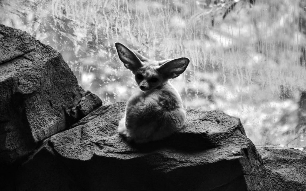cropped-HZQ_1596-4-2-1024x640-1d830a237ab49cb5fcdf4fa5441b0dd3