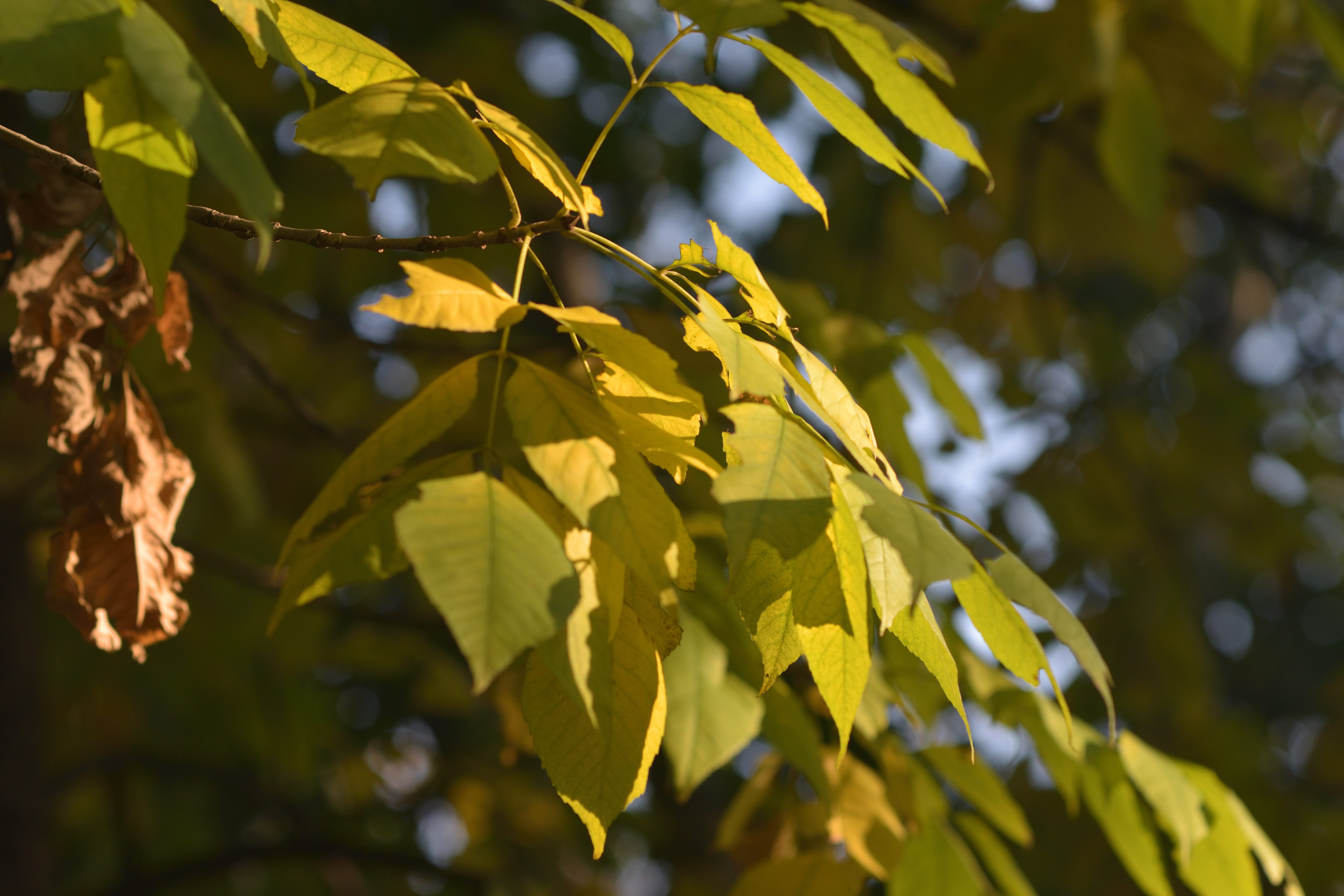 DSC_0074-35a7186ef4186de3c489e38995690668