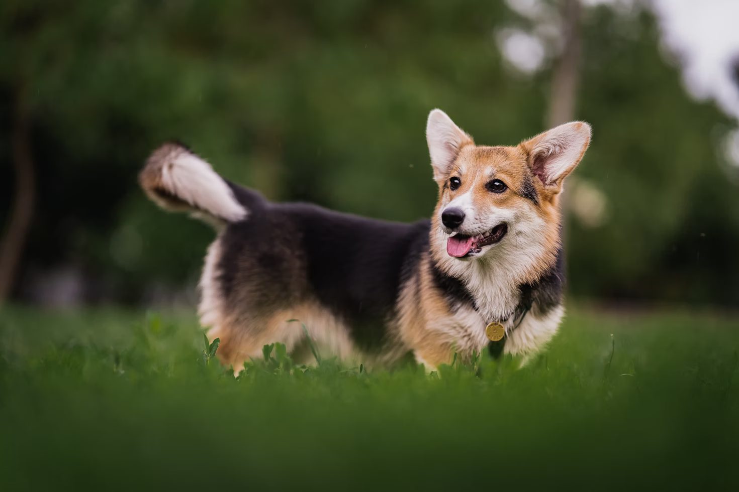test_image-8f7b80012246e54c8337e8bcd85e3522