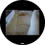 Screenshot_20260307_201416_sbrowser-db25b68c2f7140362bf7ab96e46600ce