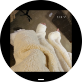 Screenshot_20260307_201451_sbrowser-2b5236b783919a5ca33fad4c7ac26bb1