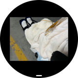 Screenshot_20260307_204213_sbrowser-e591ac58c8c1841028e20d7f51753c4d