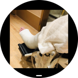 Screenshot_20260307_204134_sbrowser-0a5764db03840b7f86fd145965256692