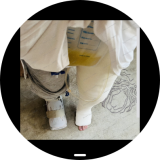 Screenshot_20260307_204916_sbrowser-7582227d47607f7843840aebdb773fe3