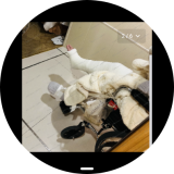 Screenshot_20260307_210726_sbrowser-94978753596990f61ca47a2bf6e3a379