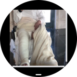 Screenshot_20260307_205358_sbrowser-e0d413f1bf5e923b11ea9fcc8c48d891