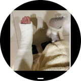 Screenshot_20260307_210826_sbrowser-bf90826668aff1a3444fdbaf553d2ac6