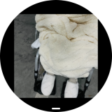 Screenshot_20260307_210042_sbrowser-150fde03a2ba0f83b44c9533d1bceacb