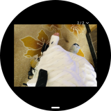 Screenshot_20260307_211444_sbrowser-a834398debcb8ba1798b40675d4cadb0