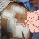 u1279305002262041559fm253app138fJPEG-eb7b8253171b8d1039ce826a74ab2509