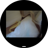 Screenshot_20260307_201213_sbrowser-a99bd74b47aef150e8fe07395ddd5337