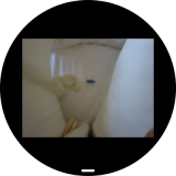 Screenshot_20260307_201219_sbrowser-55ee017421195f3d14cf4613d28451d7