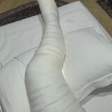 1c8820087bf40ad126cf91fe112c11dfa8eccef3-540762ab1aeb480277287d5f411fa66f