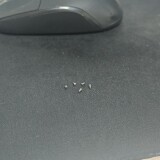 1000064126-f70e22f26abbcf2c1e2927af5398bc9d