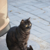 _20250324213434-1200f93f29631a7e41e0066952693943