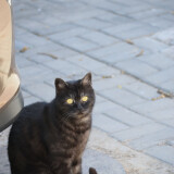 _20250324213503-deb1a7a4a6641b1f4f29a80265b4f5a4