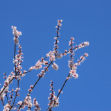 _20250324213454-b7e7f0042905cb5736b3afac8bf2ca49