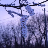 _20250324213559-551ccefcd2474c055a5319e46ad1fc2f