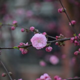 _20250324213614-6fc351024ad8188766d9d9d2a433915a