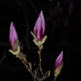 _20250324213713-acb05c576367c448b1b5369ff725e074