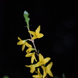 _20250324213634-1e53ef4b249a873d23be87d7d417af46