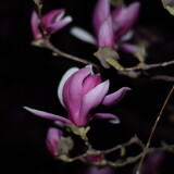 _20250324213708-e9b95054f84a6064467b2bb25a6442be