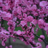 _20250324213618-1f41419394465d8361d54aa7aa514597