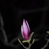 _20250324213719-ed9dce9805d641b5e25c6e8e067ee876