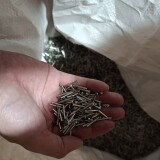 1000070074-2bc985435cbce8cd389b46edd2789328