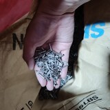 1000070072-cd201daf585ce251b26e81b2c2cc977d